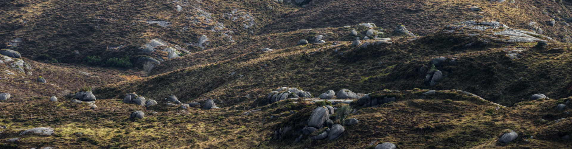NO PARIS WITHOUT PEATLANDS: BUILDING COLLABORATION AT COP26